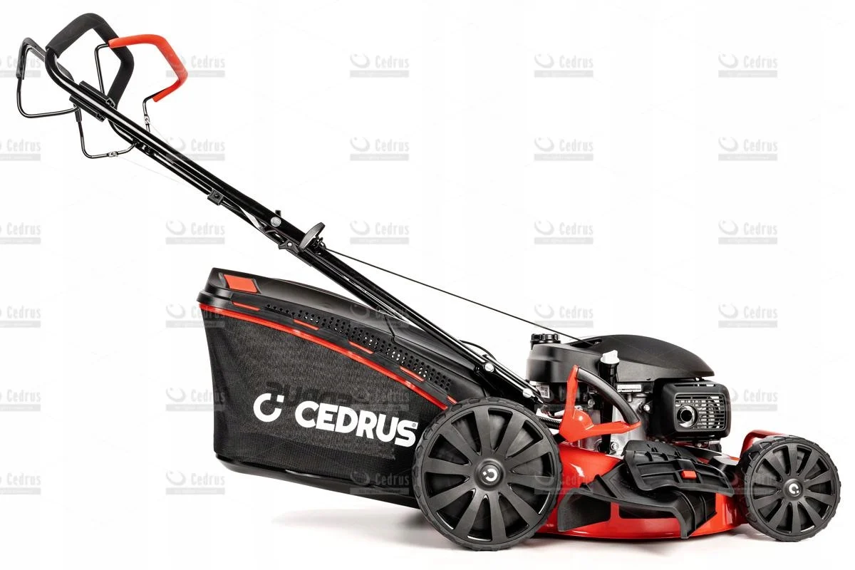 Cedrus kosiarka spalinowa KS51S-H silnik Honda + Gratis