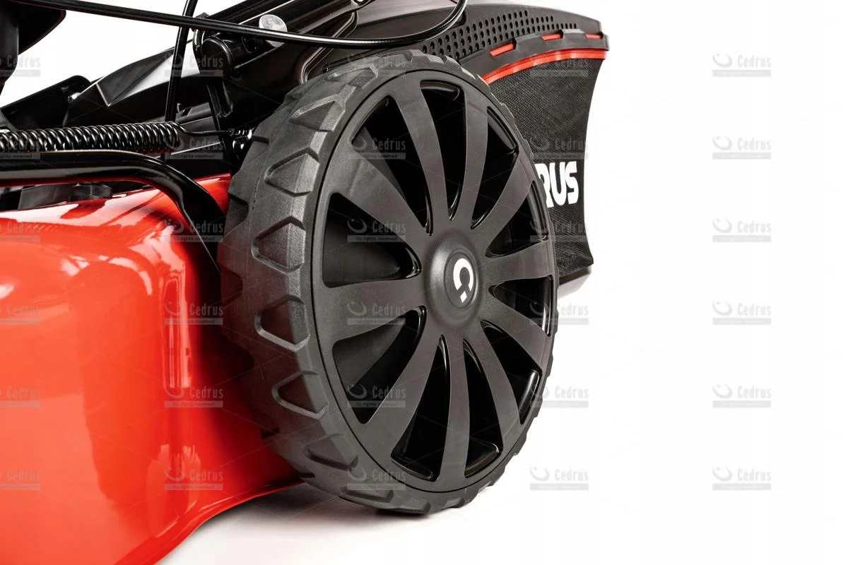 Cedrus kosiarka spalinowa KS51S-H silnik Honda + Gratis