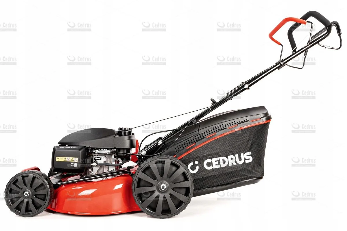 Cedrus kosiarka spalinowa KS51S-H silnik Honda + Gratis