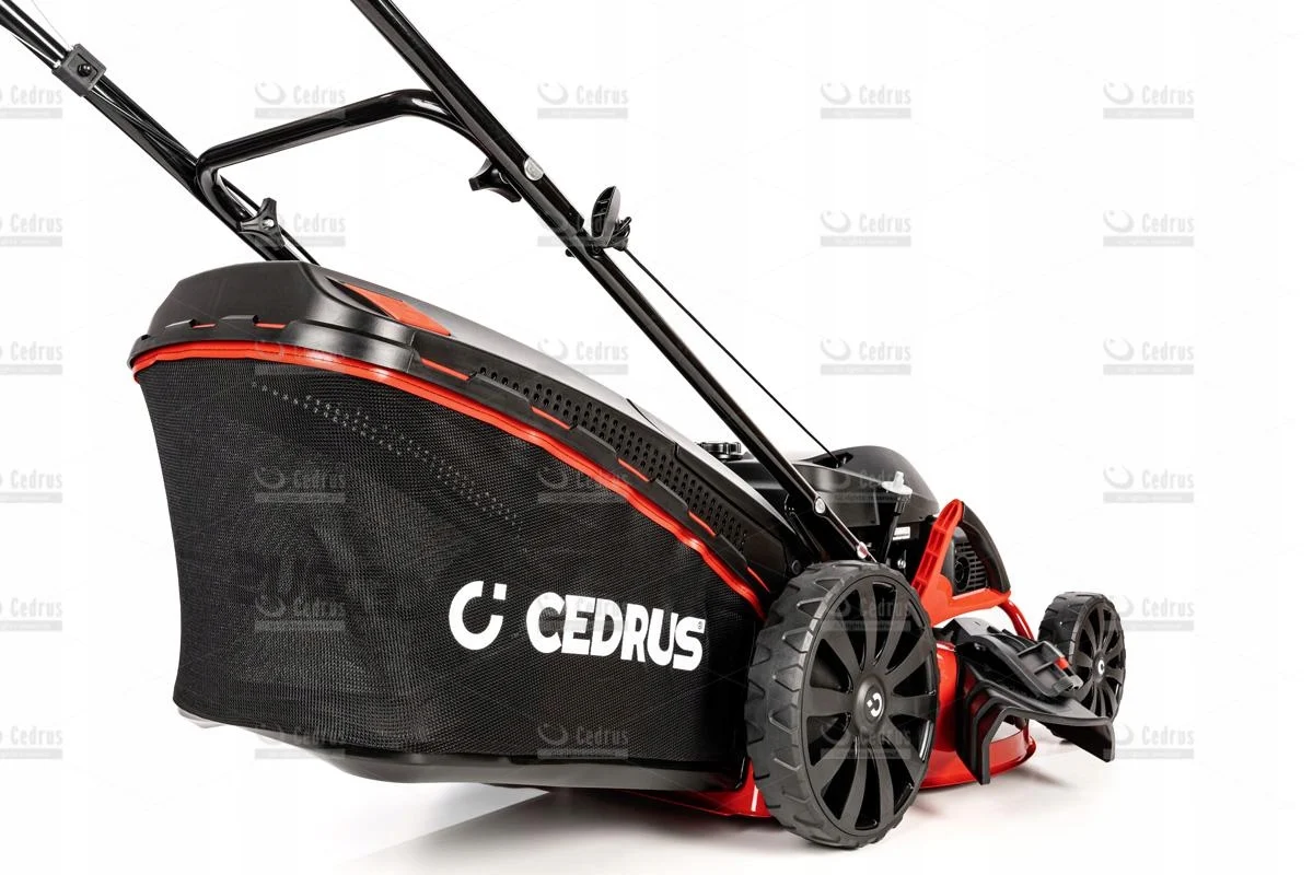 Cedrus kosiarka spalinowa KS51S-H silnik Honda + Gratis